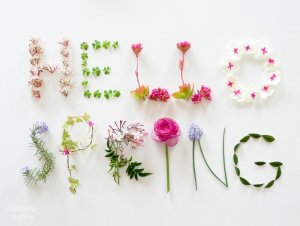 9-Hello Spring_ouiouiouistudio