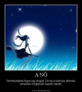 1325961315.3873-nasd-f