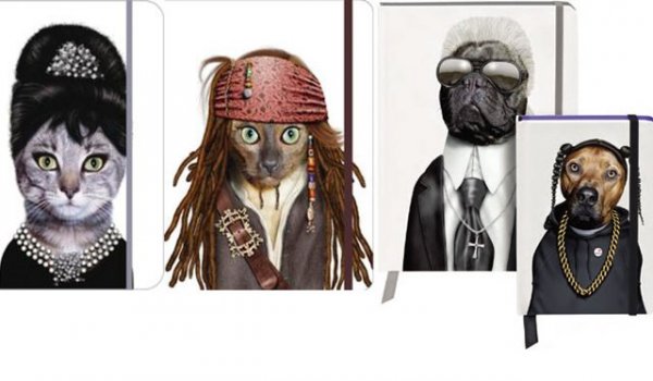 3313686_fbf935a74e9701bb46c55aa1d0f3330e_wm