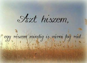 421809_515616761838327_139746130_n