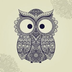 45514226-vektoros-illusztráció-bagoly.-madár-illusztrált-tribal.owl-látnia-virágok-a-világos-háttér.