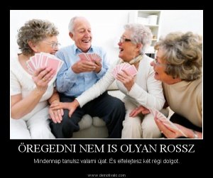 1323621288.4386-20101201gyogyulja5-f