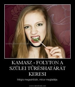 demotivalo1349021968_7461_39854_kolyok2012pszichekamaszprofimediaretdot_w_f