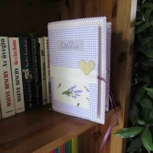 2016.02 Csillunak kész (1)